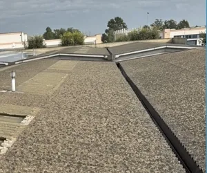 Rimozione eternit tetto da capannone industriale